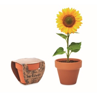 Macetas semilla girasol de terracota personalizada